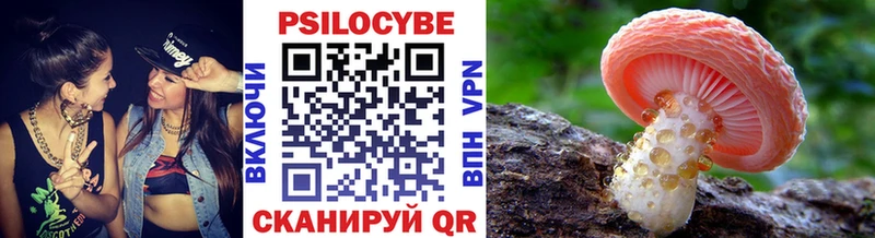 ОМГ ОМГ онион  Дмитриев  Псилоцибиновые грибы ЛСД 