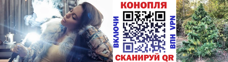 Бошки Шишки индика  где купить   Дмитриев 